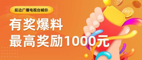 爆料获奖的视频,爆款内容背后的创作秘籍  第3张