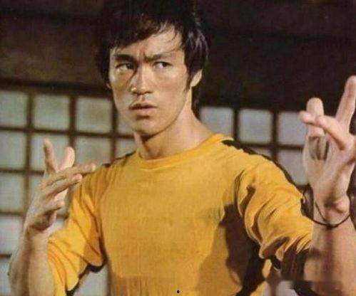 李小龙精彩爆料视频大全,精彩爆料视频大全集锦  第1张